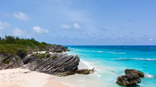 Bermuda-image